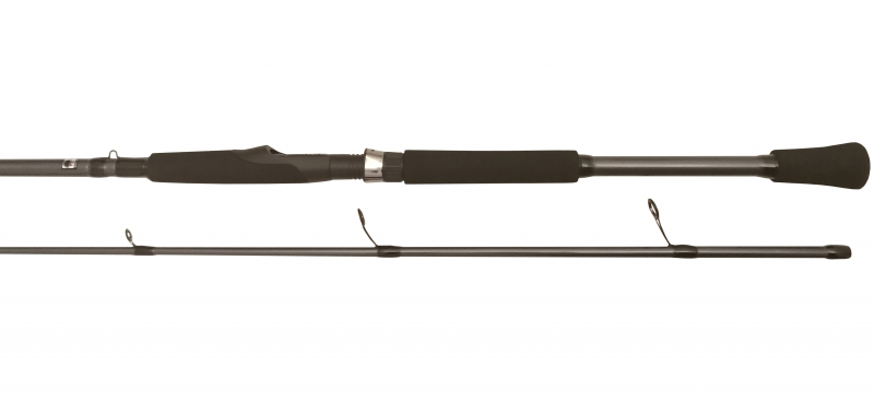 BFT - Big Fish Tackle BFT Raptor G2 Pike Spin 8' -100g, 2pcs Haspel 3 BFT - Big Fish Tackle BFT Raptor G2 Pike Spin 8' -100g, 2pcs Haspel